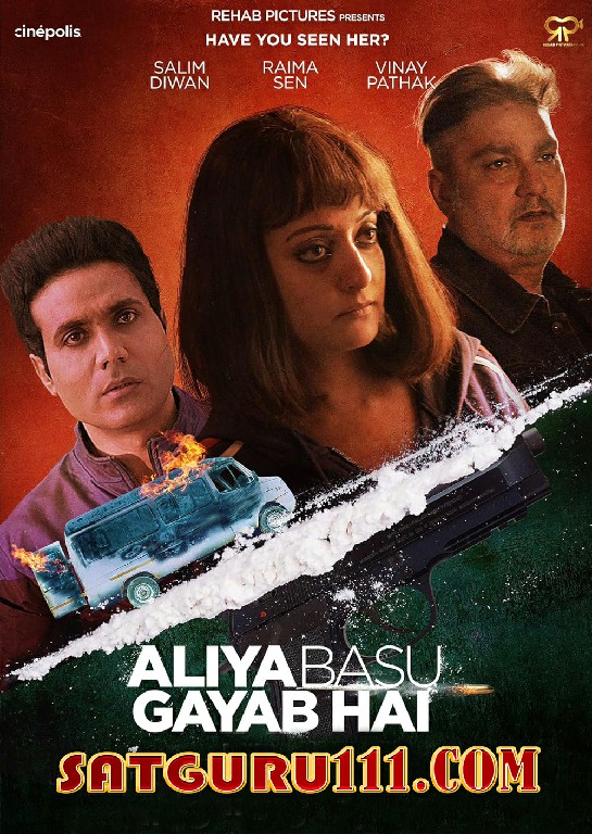 Aliya Basu Gayab Hai (2024) Hindi HDTS 1080p 720p 480p x264 AAC