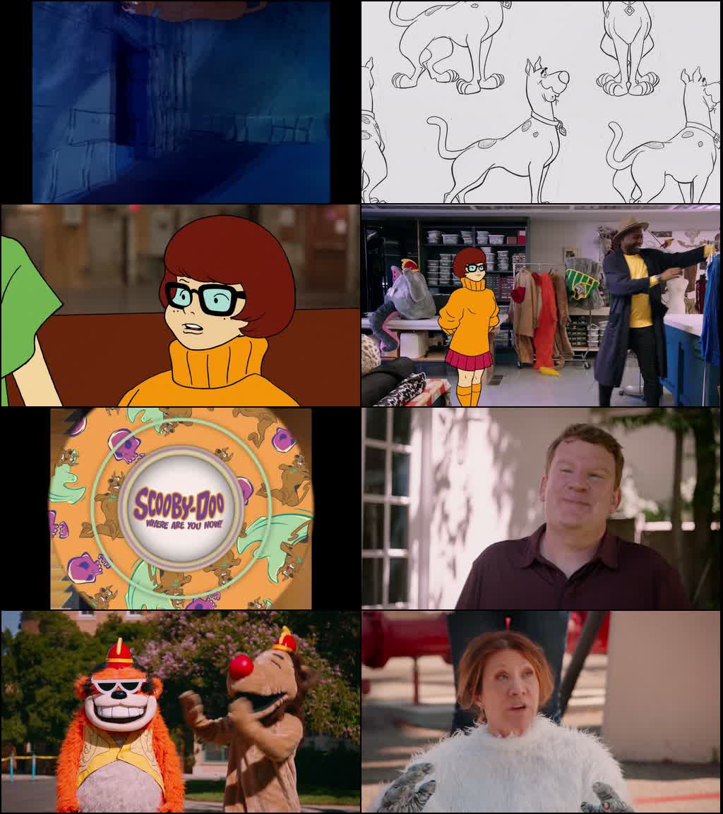 V5DZ8DTEmCvO4mt_1785715606