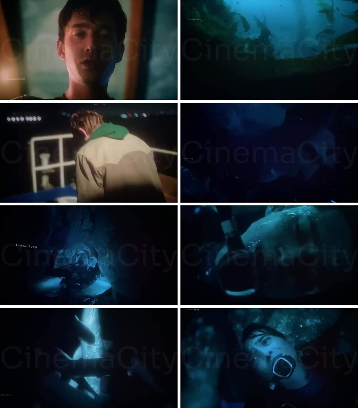 Whalefall (2026) CAM English 480p X264 AVC AAC 2.0.jpg