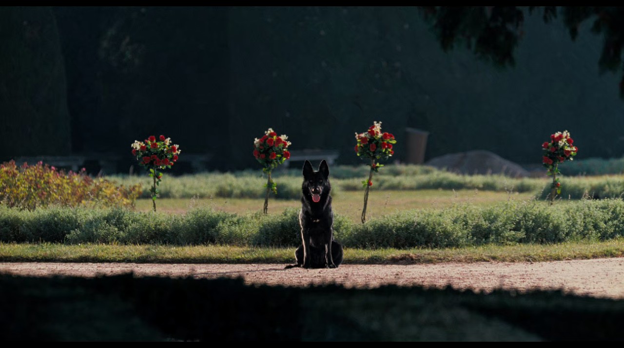 The Omen (2006) (Hindi + English) Dual Audio BluRay screenshot