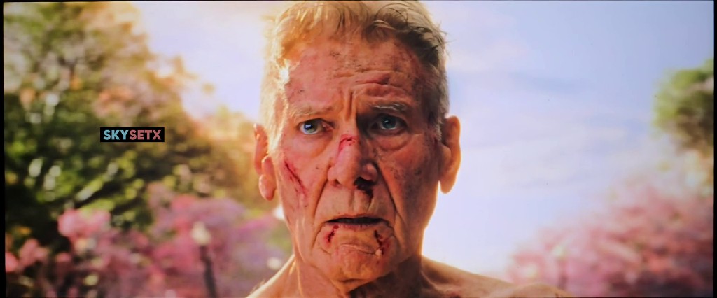 a0