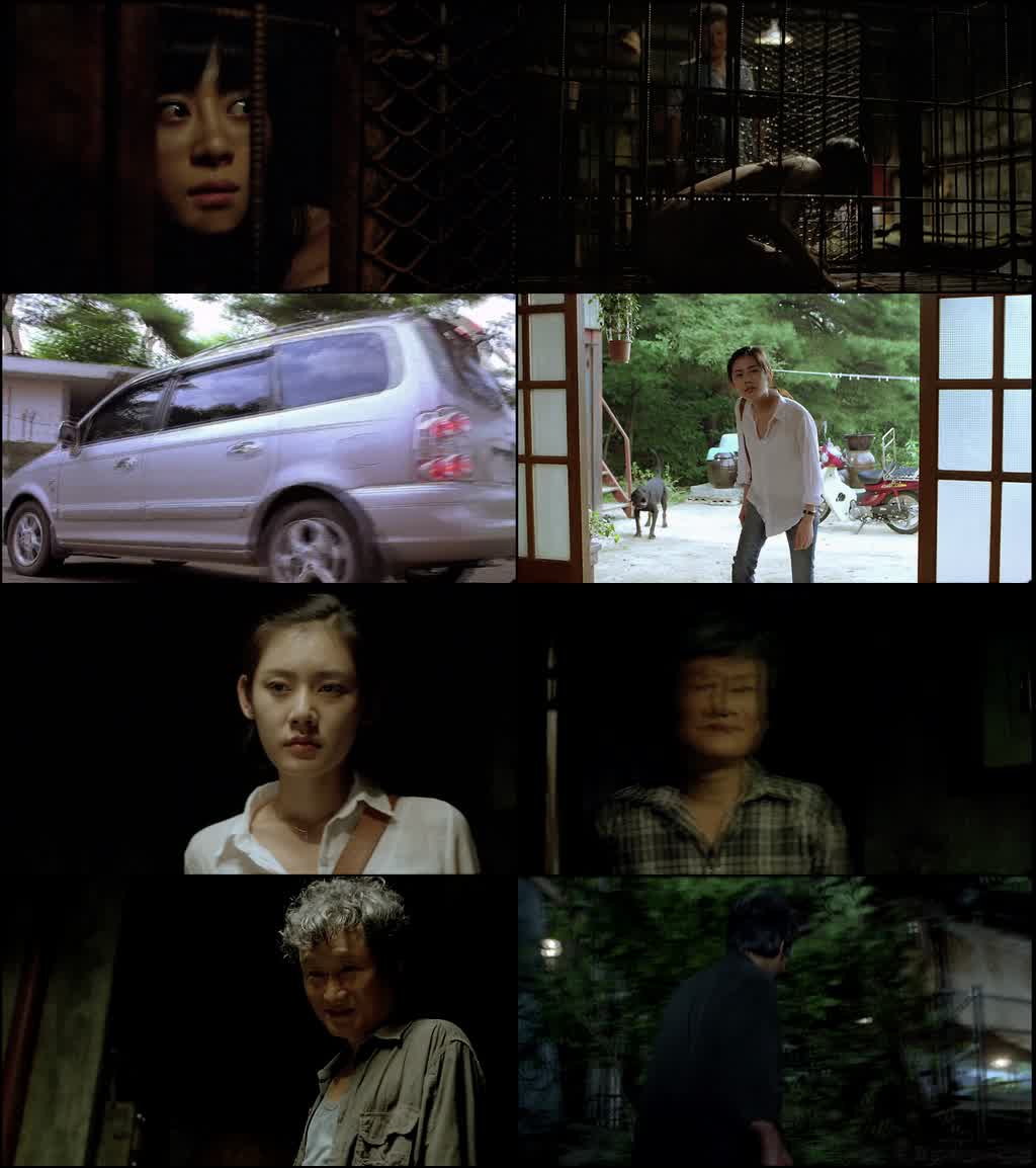 wGF6eWgmSN9kG5N_1785098714