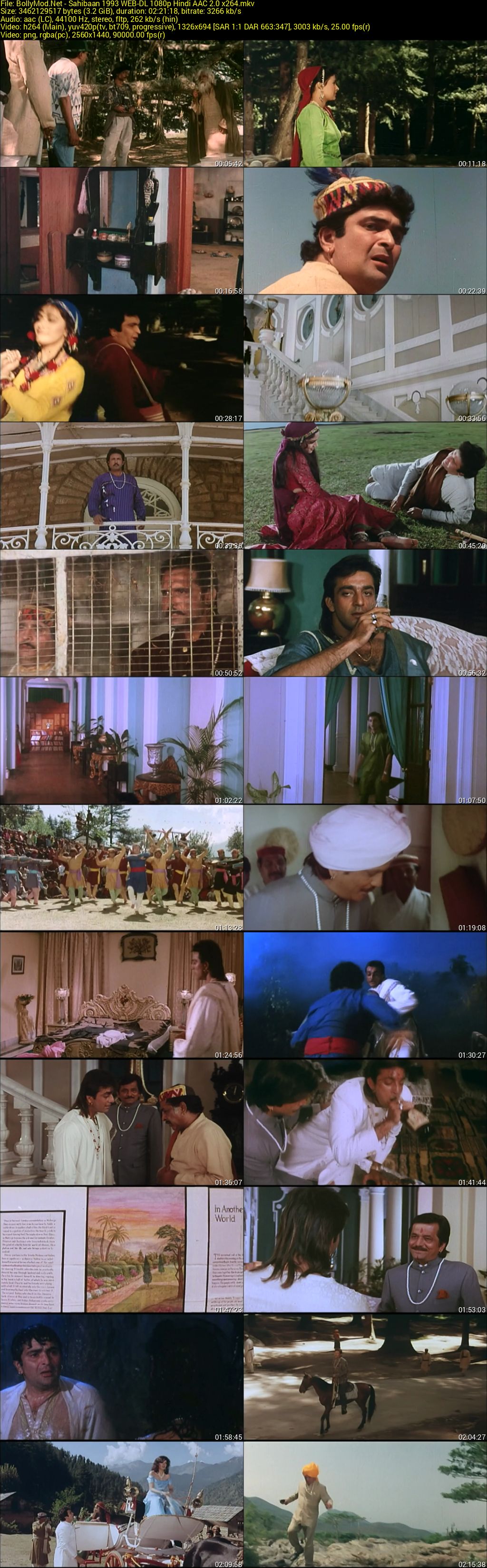 Download Sahibaan (1993) Zee5 WEB-DL Hindi Movie (AAC 2.0) 480p & 720p & 1080p Screenshots