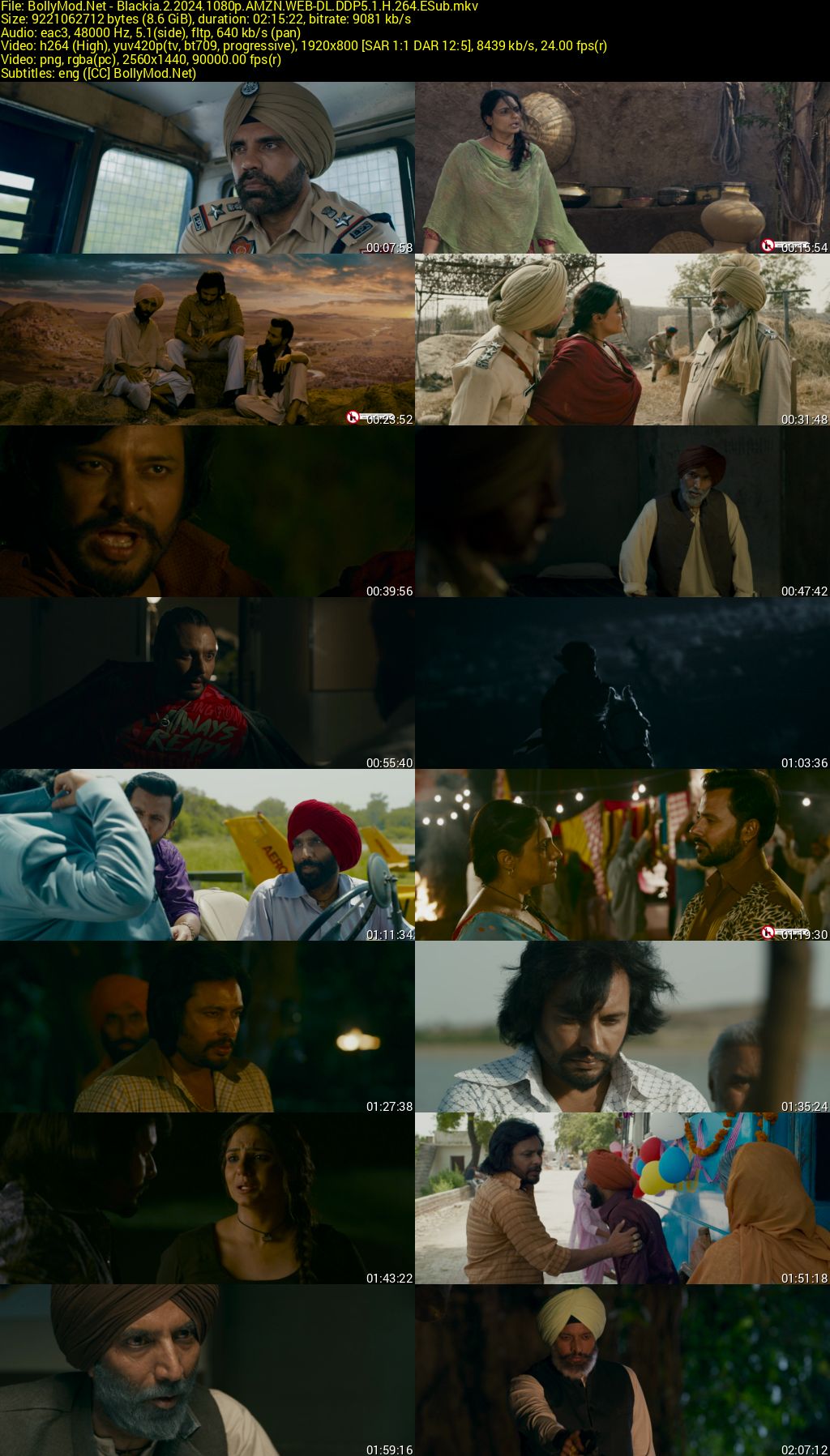 Download Blackia 2 (2024) AMZN WEB-DL Punjabi Movie (DD 5.1) 480p & 720p & 1080p ESub Screenshots