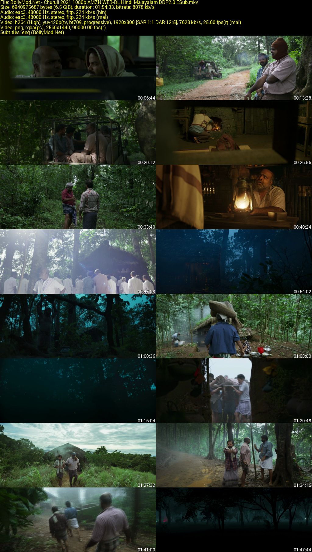 Download Churuli (2021) AMZN WEB-DL Dual Audio [Hindi (DD 2.0) & Malayalam] 480p & 720p & 1080p ESub Screenshots