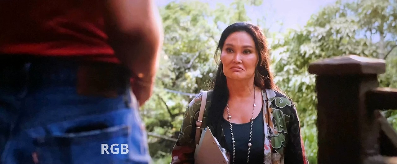 Lilo.and.Stitch.2025.1080p.TS.EN.KR-RGB.mkv_snapshot_00.11.52.167