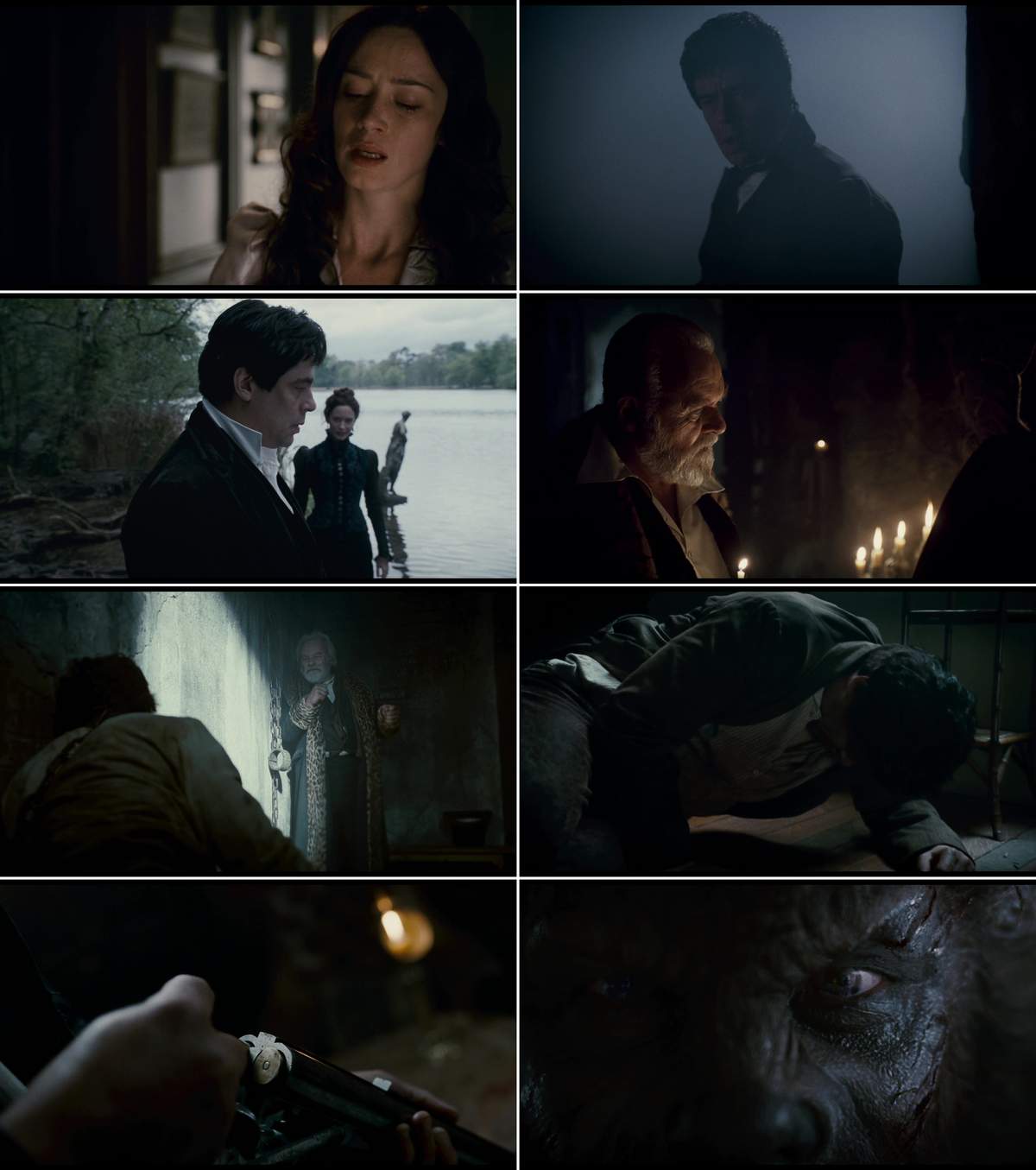 The Wolfman (2010) NF.WEB-DL Hin + Eng + Tam + Tel 1080p X264 AVC DDP 5.1 ESub CineVood.jpg