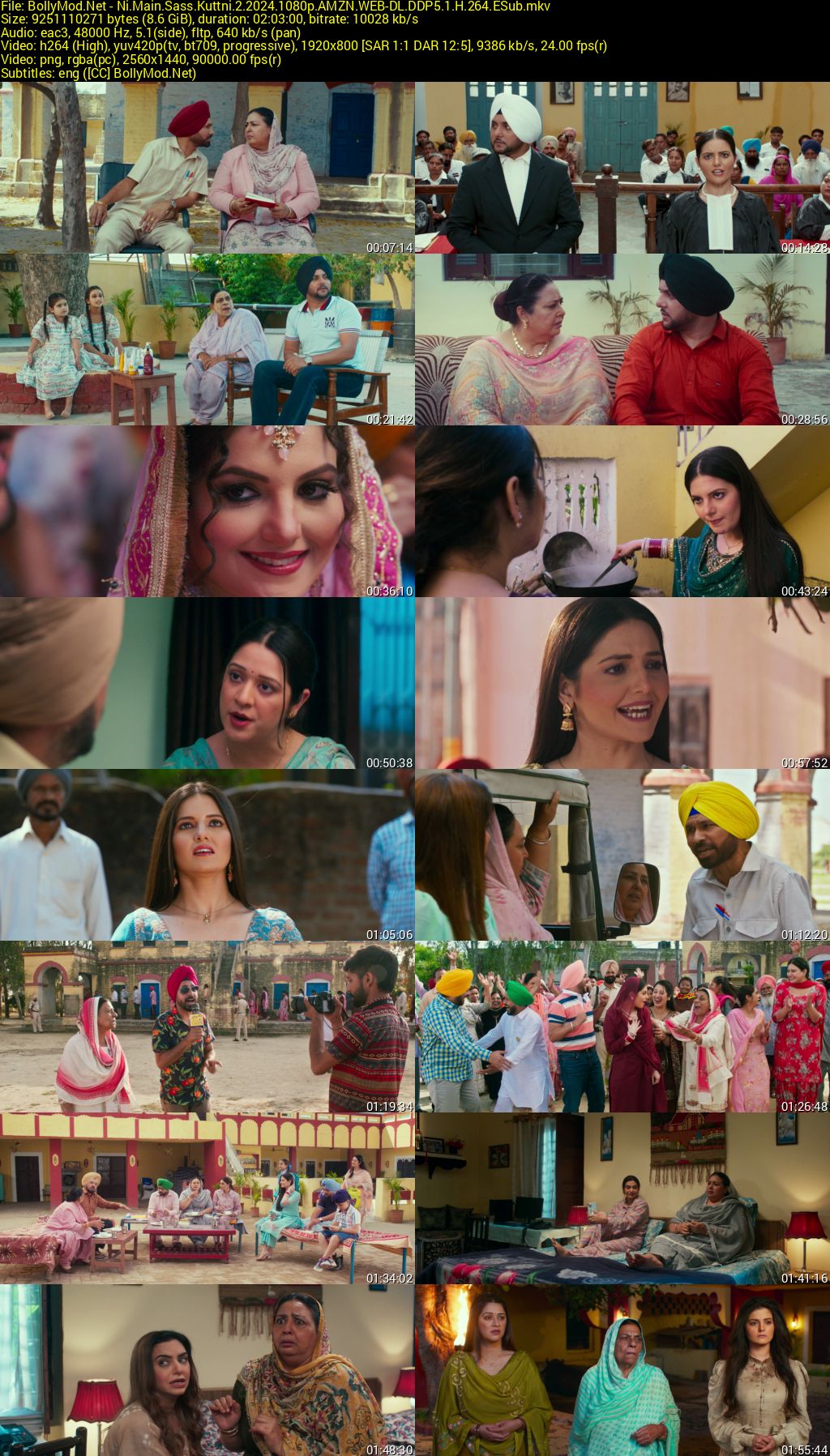 Download Ni Main Sass Kuttni 2 (2024)  AMZN WEB-DL Punjabi Movie (DD 5.1) 480p & 720p & 1080p ESub Screenshots