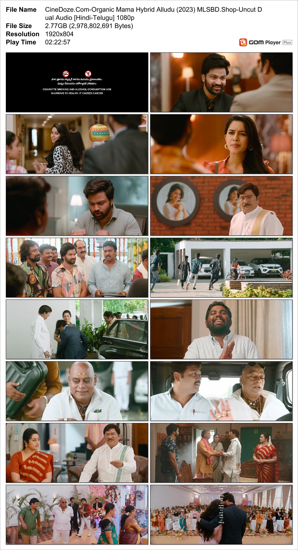 Organic Mama Hybrid Alludu (2023)