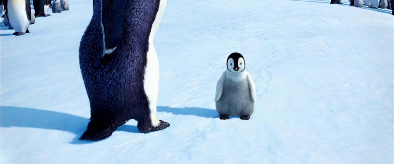 Happy Feet (2006) (Hindi + Multi) Dual Audio BluRay screenshot