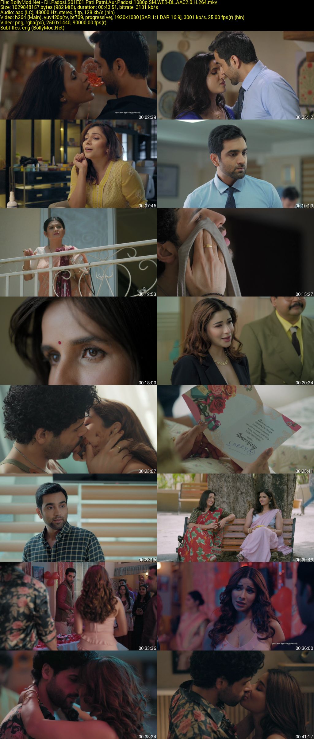 Download Dil Padosi 2026 (Season 1) SM WEB-DL Hindi (AAC 2.0) 720p & 1080p Screenshots