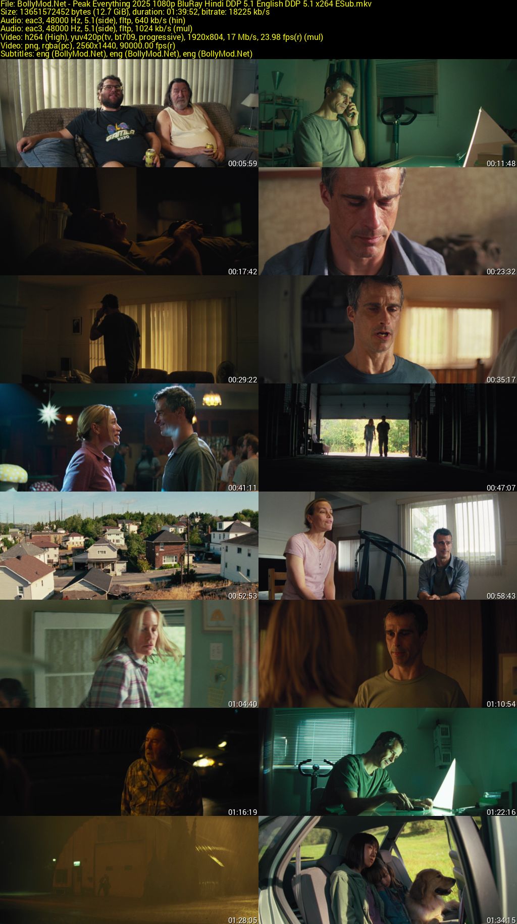 Download Peak Everything (2025) BluRay Dual Audio [Hindi (DD5.1) & English] 480p & 720p & 1080p ESub Screenshots