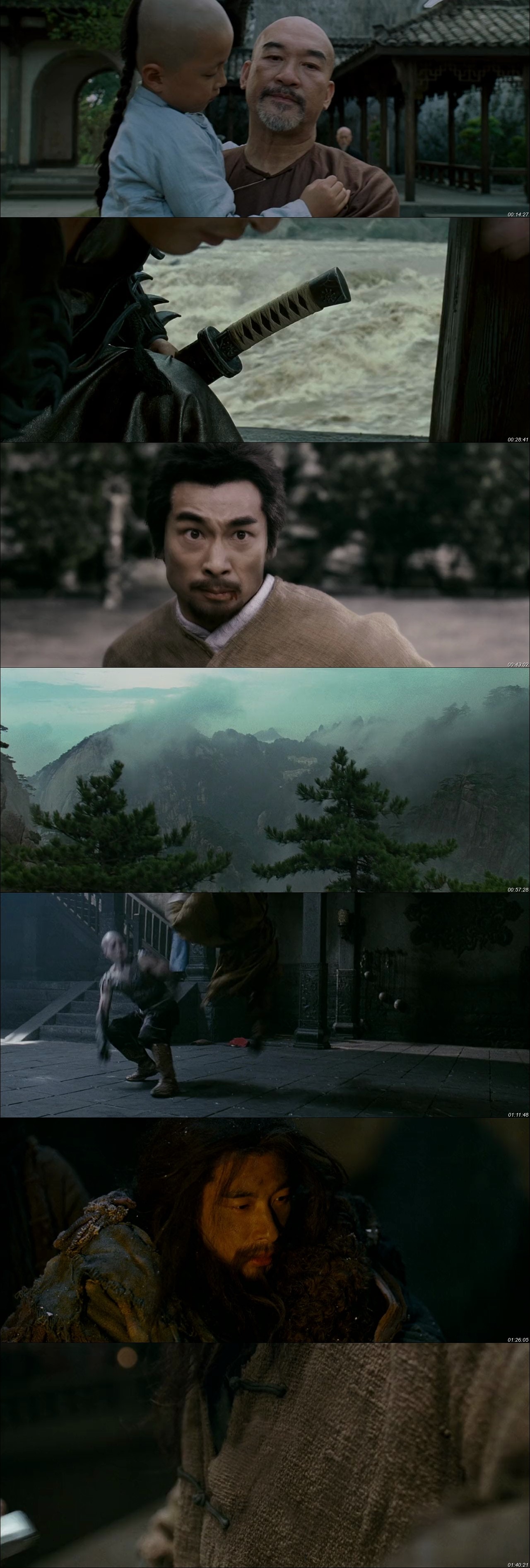 True-Legend-2010-720p-Blu-Ray-x264