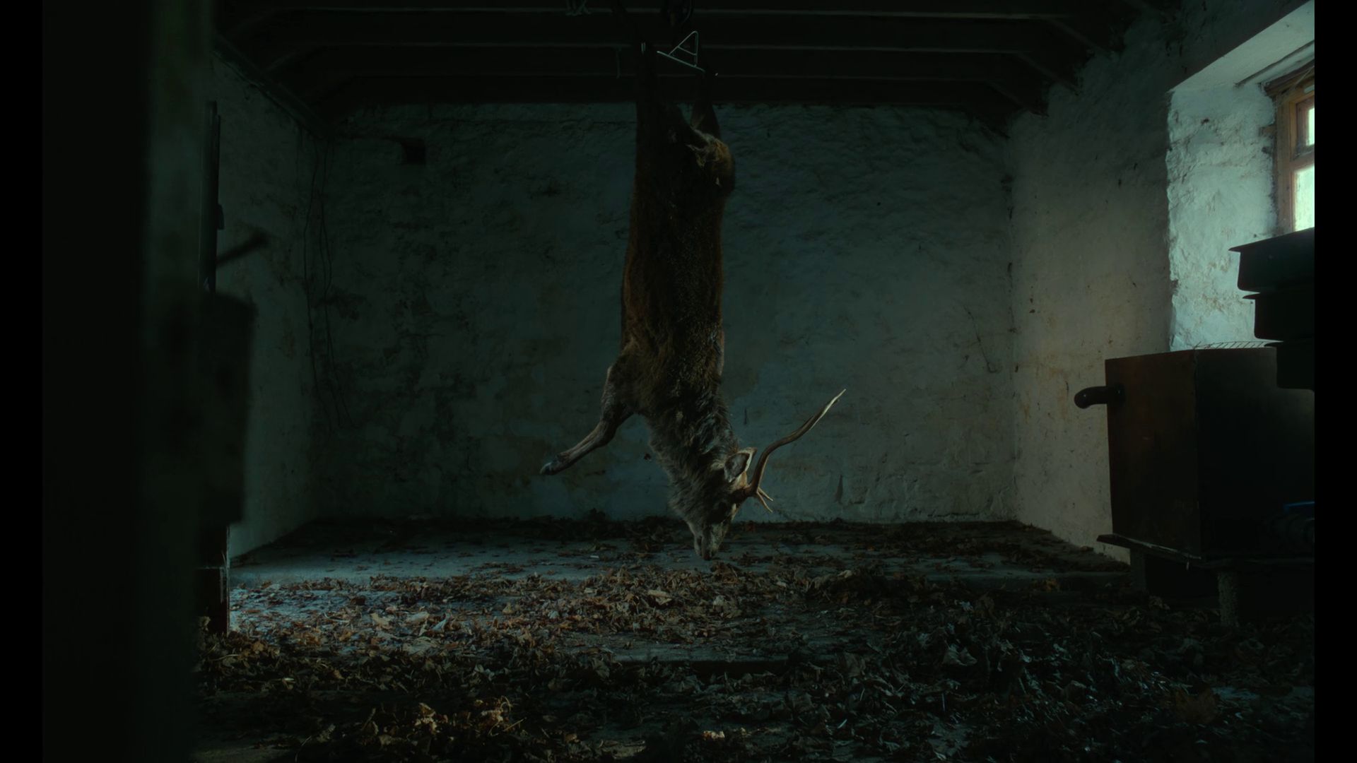 um4nFG7qcHsFGaX_1777530995